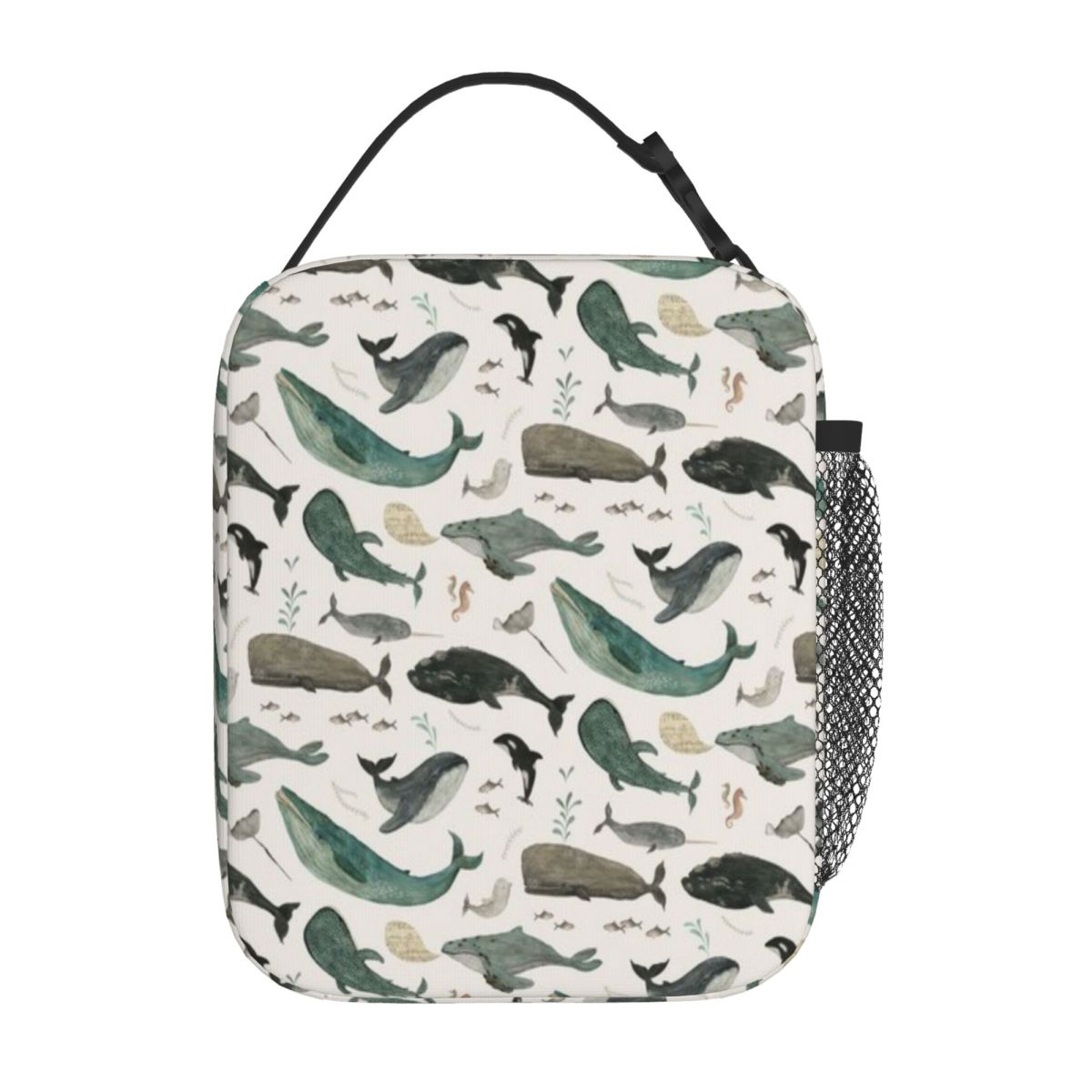 Hot Sale Whale Song Simple Ins - Meal Prep Simple 评论和价格