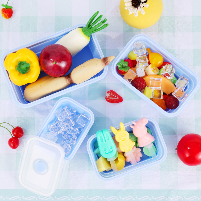 4PS Collapsible Food Storage C - Meal Prep Kit 评论和价格